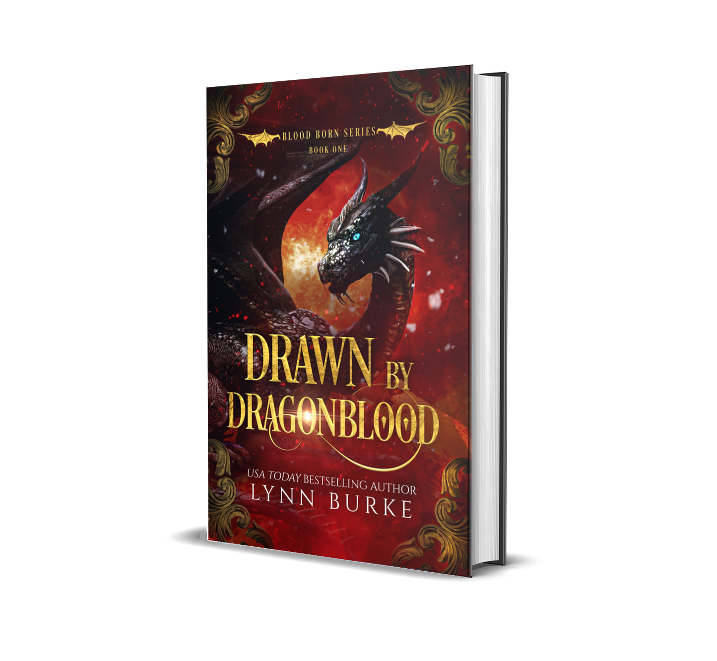 Drawn by Dragonblood Signed Special Edition Hardback by Lynn IS AN MMF FATED MATES DRAGON SHIFTER NOVELBurke