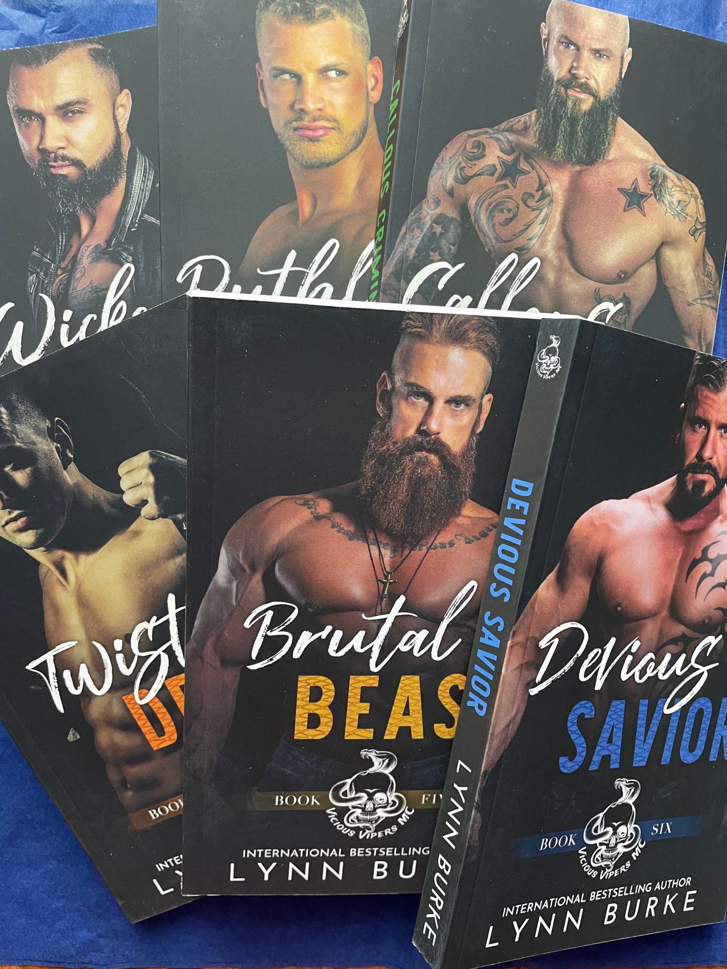 Vicious Vipers MC Paperback Bundle by Lynn Burke