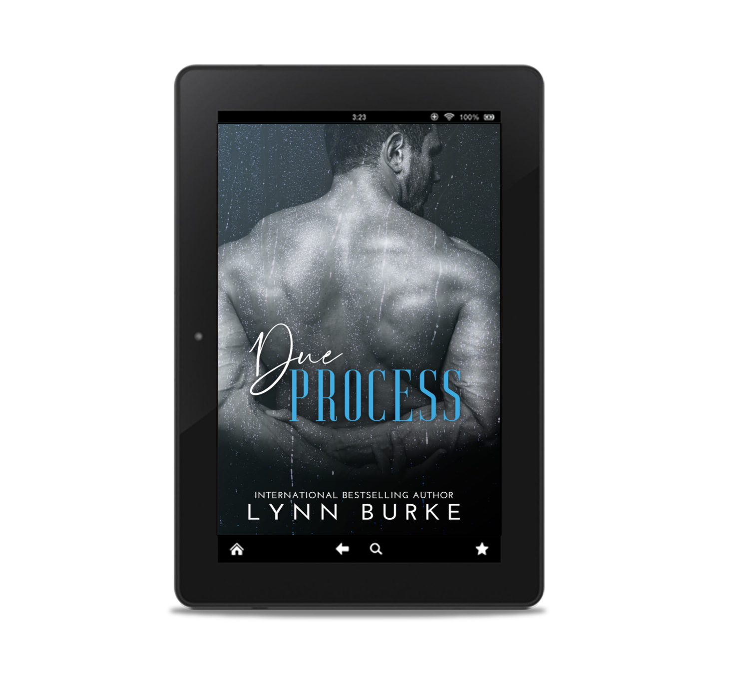 Due Process Ebook by Lynn Burke
