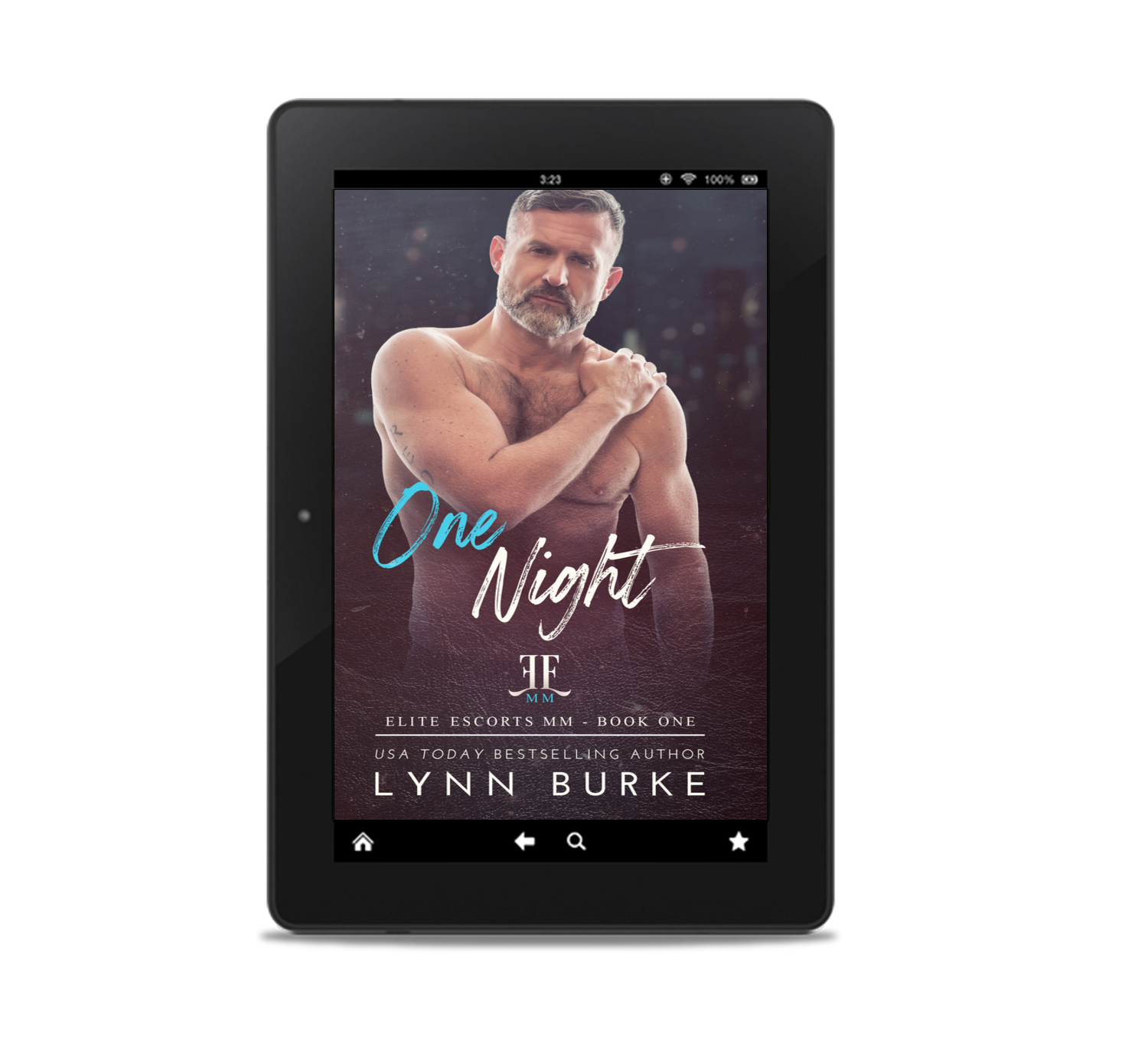 One Night Ebook by Lynn Burke