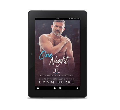 One Night Ebook by Lynn Burke