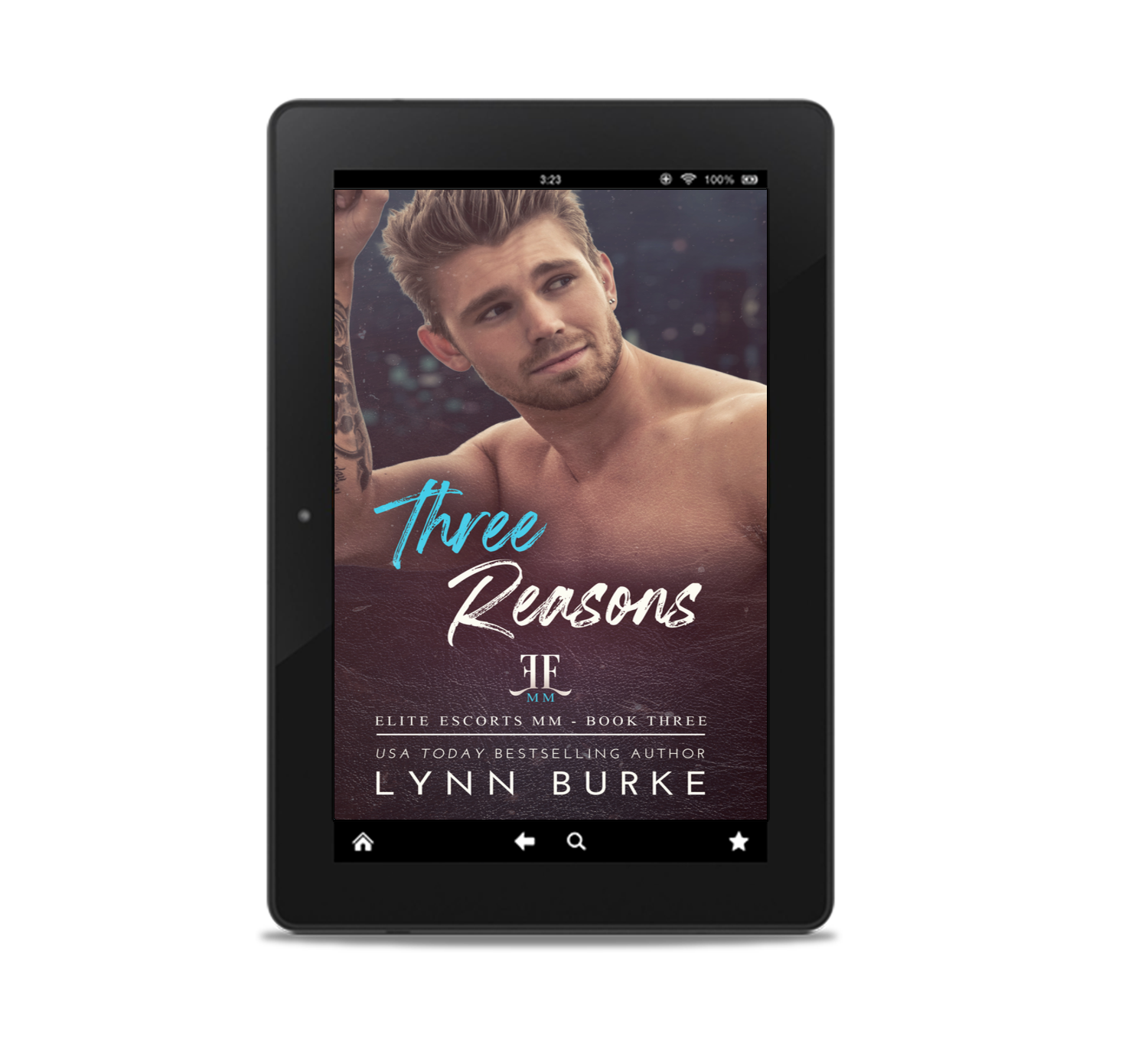 Three Reasons Ebook by Lynn Burke