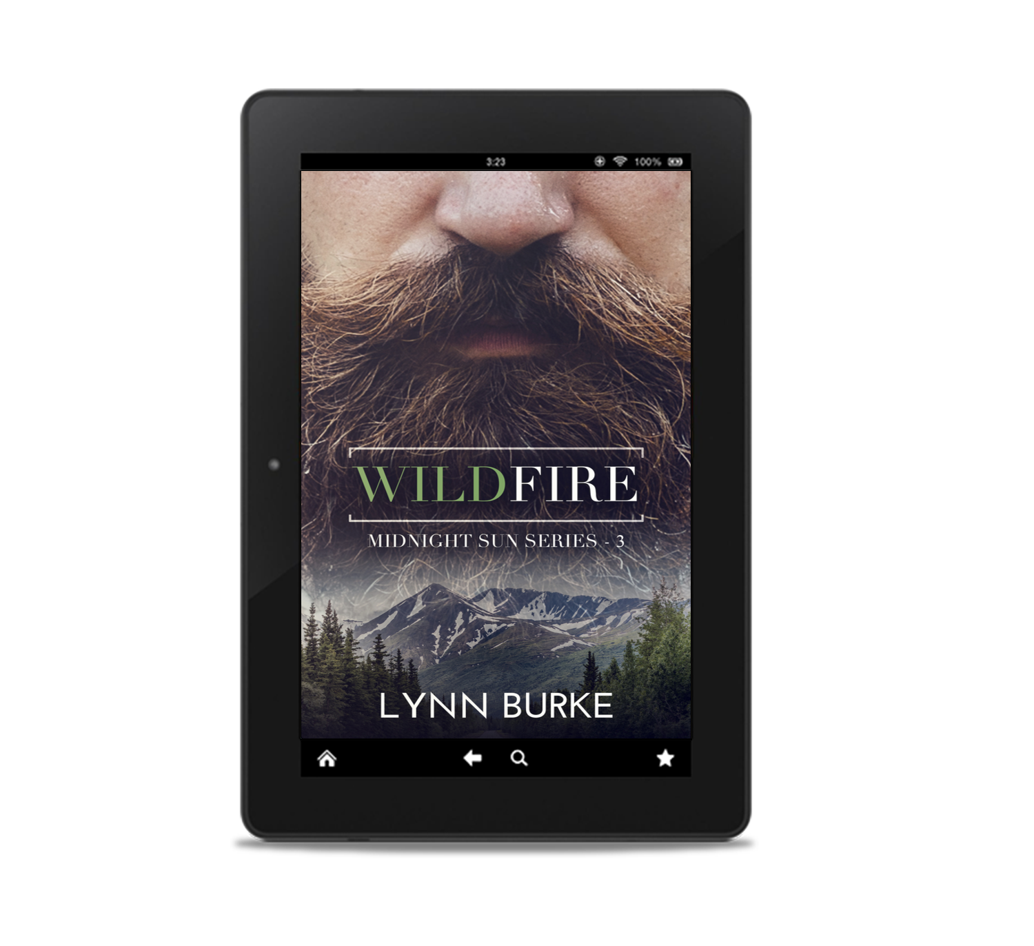 Wildfire Ebook by Lynn Burke